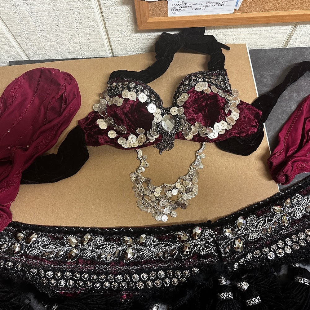 Fusion Belly Dance Costume